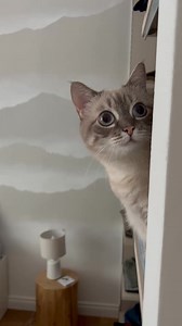 Cosa starà pensando Belen? Ma soprattutto, chi indovina dove andrò? 💥🙌 | Luca Gervasi