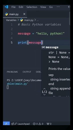 Python Basics: VARIABLES in Under a Minute!