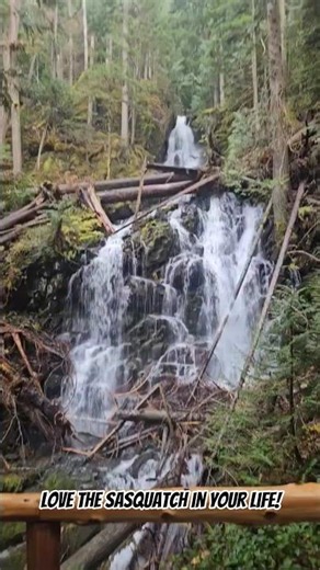 Ranger Falls #hiking #outdoors #waterfall #beautiful