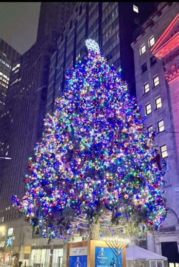 I braved the snow storm purposely to take a snow falling on Christmas tree photo and I got it! It was magical. Eventually, my hand was freezing off the knob and I ducked into the subway. But I wanted to go walk to another Christmas tree! Celebration!
