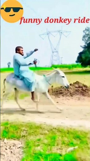 funny donkey ride#funny #ride #donkey #funnyvideo #shorts