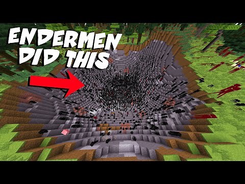 Minecraft Endermen Destruction (Timelapse)