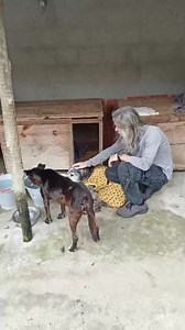 6.6K views · 1K reactions | Good Evening from Brazil. Zeke and Blake...