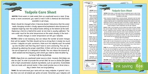 Tadpole Care Information Sheet