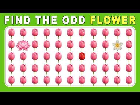 Find the ODD One Out – Flower Edition 🌸🌼🌺 | Easy, Medium, Hard – 30 Ultimate Levels | Quizz Forge