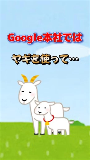 ヤギは中世の拷問で…「ヤギの雑学５選」 #雑学 #特有種 #プチ知識 #水族館 #ねこたんの解説 #sushi #動物 #gorilla #昆虫