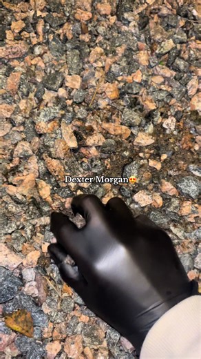 Look Grazy🔥 // #dexter #DexterLabs #dextermorgan #dexterresurrection #dexterressurection