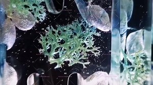 11K views · 652 reactions | LED Name Stand Make with Resin& Real flower #resin #resinart #realflowers #ledlights | PUCCA Resin & Handmade Accessories | Facebook