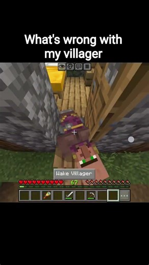 what's wrong with my villager #minecraft