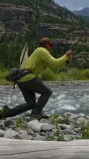 Stonefly Hatch Fly Fishing Tips for Trout