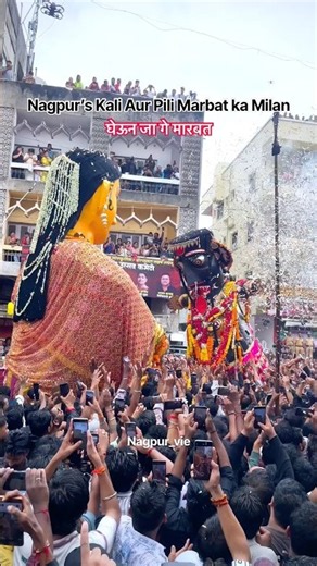 Nagpur’s Kali Aur Pili Marbat Ka Milan #nagpur #marbat #nagpurcity