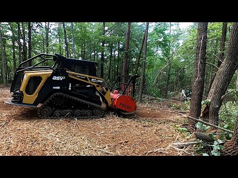 Clearing some land and forestry mulching