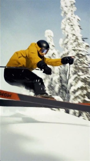 Moment Skis - Wildcat 108