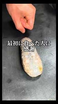 【ナマコの旨い食べ方】皆さんのオススメの食べ方も教えてください🤤 #asmr #料理 #捌き方 #fishing #ナマコ#晩酌#おつまみ#shorts