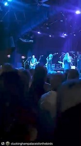 5.8K views · 278 reactions | A little Low Red Moon from our home city Providence show last weekend @fetemusic. So awesome to see all you longtime OGs. Thank you for coming out. Love you guys ❤️  @cluckinghampalaceisforthebirds | Belly | Facebook