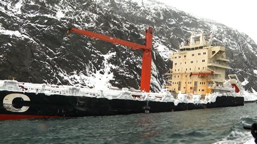 The MSC Baltic III grounded in Cedar Cove 1 year ago. What’s next for one of the biggest shipwrecks in Canada?