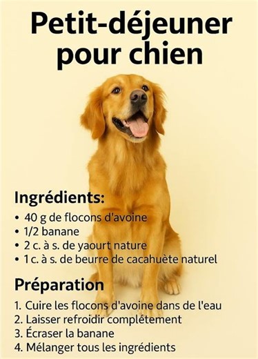 Petit-déjeuner sain pour chien 🦴 | Recette maison facile