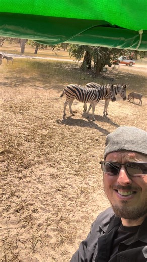 Safari #senegal