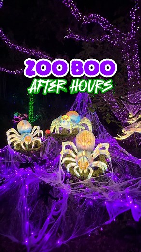 51K views · 3.2K reactions |  ZOO BOO IS BACK!  The Houston Zoo is...