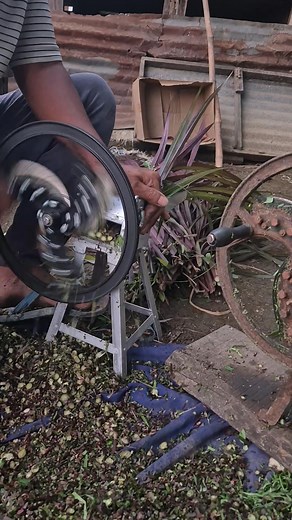 Toolsvilla app ...saag cutter makhal2 fangbani #viralphotochallengefacebook #followersreelsfypシ゚viralシfypシ゚viral #viralphotochallenge #hilights #follower | Premananda Konthoujam