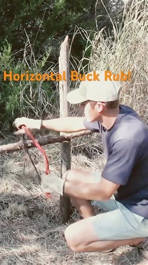 The Hunting Public Ted Miller Horizontal Buck Rub!