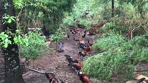 18K views · 1K reactions | Iron Creek on Reels | Facebook