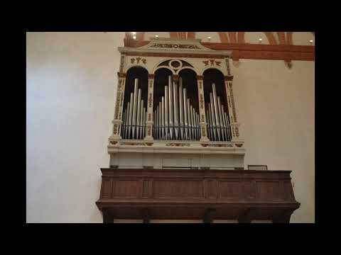 Leo van Doeselaar plays Petrali and van Bree at the 1856 de Lorenzi organ in S. Corona Vicenza