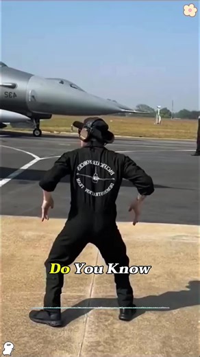 What Do These Airport Hand Signals Mean? ✈️#aviation #airplane #pilotlife #foryoupage #knowledge