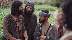 16K views · 2.1K reactions | Mark 13 | Bible Quotes | Facebook