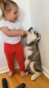 "Don't 'woo' me! You were sitting on the clicker-button with your fluffy bottom!" 🤣 This toddler is having a funny conversation with this puppy! 😂🐶💗 #toddlertalk #toddler #trending #cutedogs #funny | Pet Companions
