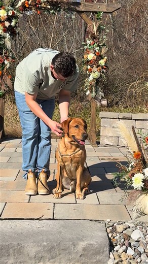 Crystal Archer on Reels