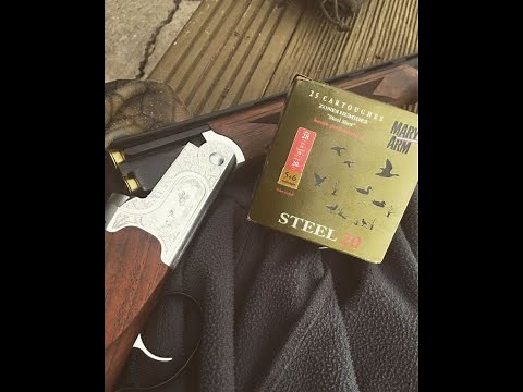 Fusil Shulberg Silver calibre 28/70 + Moment de chasse