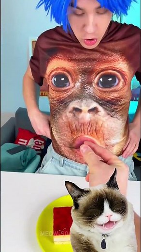 This Monkey’s Birthday Wish Didn’t Go as Planned 😭🎂#shorts