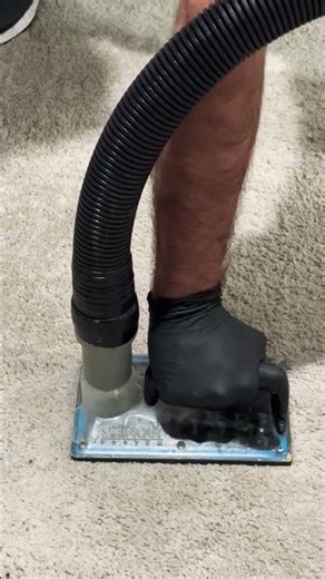 Cat Pee Disaster → Deep Carpet Rescue📍 Dallas – Fort Worth