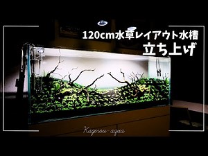 【アクアリウム】120cm水槽 水草レイアウト モリモリ植栽