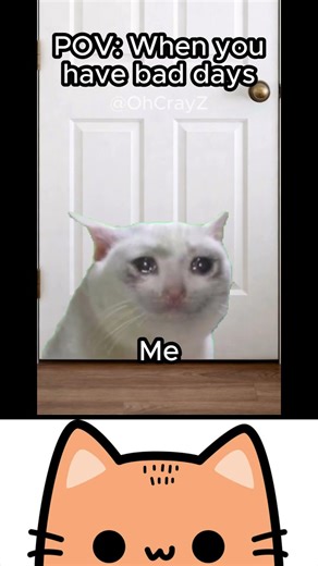 Bad days are just the worst 😔😽|Cat Memes|Chaos cat