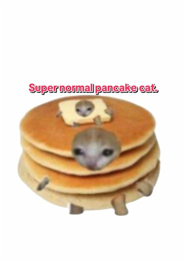 Those CapCut template edits… #rant #template #fyp #viral #floptropica | CapCut Template Edits