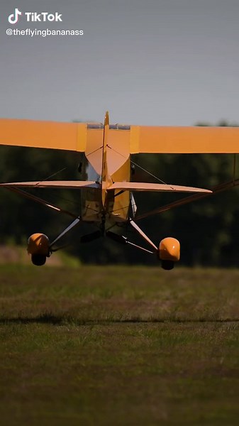 Landing a Piper Cub in Gusty Conditions | Aviation Tips