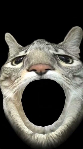 #рекомендации