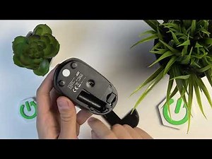 Silver Monkey Silent Mouse – Where Is the USB 2.4GHz Dongle?