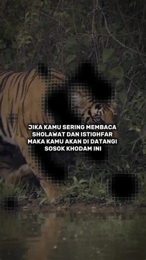 khodam pendamping on TikTok