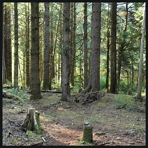 Foundation Training can be done anywhere and anytime. Hologram is not real. But the apps are real. Once you're a member of the streaming platform you can download the FT app onto your device (ios or android) for easier access. Check it out today at www.stream.foundationtraining.com #Foundationtraining #injuryprevention #injuryrecovery #backpain #backinjury #spinaldecompression #strengthtraining #functionalfitness #functionalmovement #mobilitytraining #stabilitytraining #bodyweightworkout #homewo