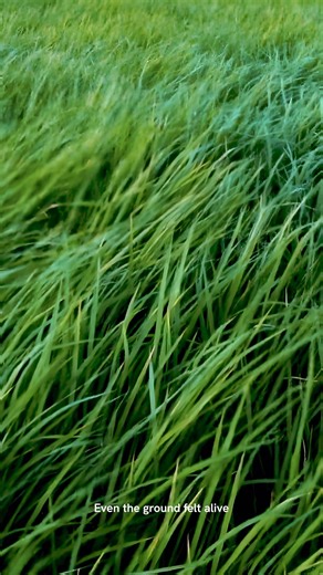 Welcome to Hann Reserve, the exclusive partner of the PGA of America in the Philippines and a landmark destination in New Clark City, Tarlac. This is where your potential meets the landscape. The powerful environment merges with golf excellence, sculpting three legendary courses into a destination carved in the mountains. This eco-luxury sanctuary resort is where fairways meet forests, inspires champions and families alike. Here, it’s not just a way of life—it’s greatness, by nature. Opening in 