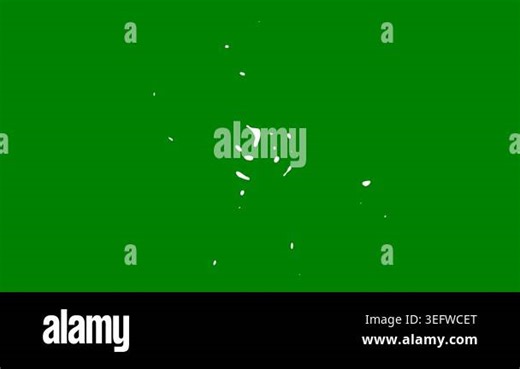 A green screen with white background and circle on arrow it black cat in the middle animated chromakey background depth expression figure illustration colorful layers creative style Stock Video Footage - Alamy