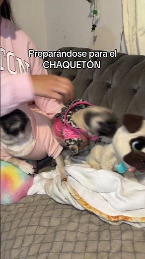 Mañana chaquetón 🥶 #humor #brandelunaa