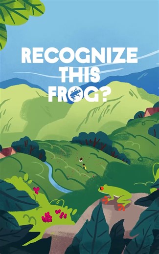 How does our little green frog leap from farms to your local grocery store? 🐸 It all starts on the ground—where farmers and companies adopt sustainability practices that grow food in harmony with people and nature. 🌱 So next time you shop, choose the frog! #RainforestAlliance #Certification #FollowTheFrog #Sustainability #PeopleAndNature | Rainforest Alliance