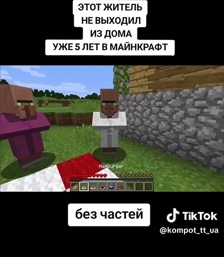БЕЗ ЧАСТЕЙ #майнкрафт #компот #деревня #рекомендации #rek #fyp | minecraft