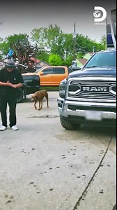 Discovery en Español on Reels