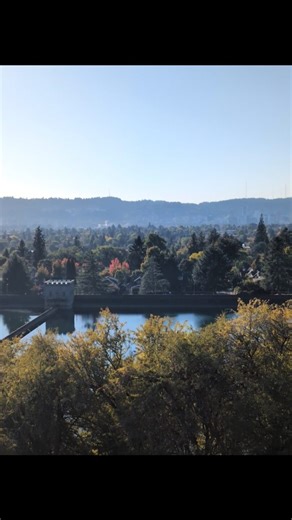 In Portland, there are more than six times as many trees as there are people. 89% of Portland's population lives within a 15-minute walk (a half-mile) of a park. Every Fall, Portland Parks & Recreation hosts Yard Tree Giveaway to promote urban forestry. Portland residents can receive up to three free trees to plant in their yard. Choose your tree and pick it up at one of the Saturday events from late September through early November. If you need help, they also offer free delivery and planting. 