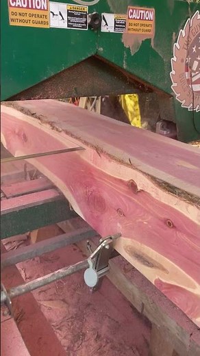 This is Why Cedar Became Every Woodworker's Favorite Wood #sawmilling #timber #asmr
